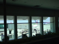 あわてぃ〜は〜てぃ〜 2008/07/09 12:35:30