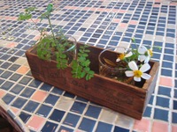 Wood Box 2008/04/11 18:01:50