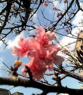 春の訪れとともに