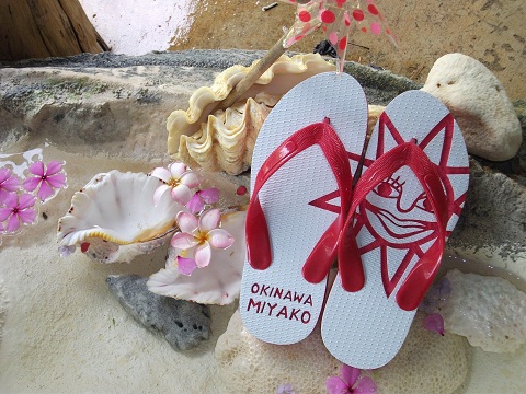 太陽(てぃだ)島さば 発売!