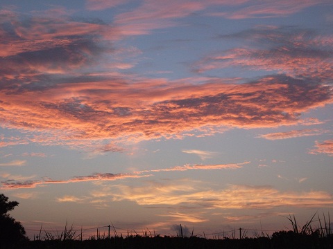 ある日の夕焼け