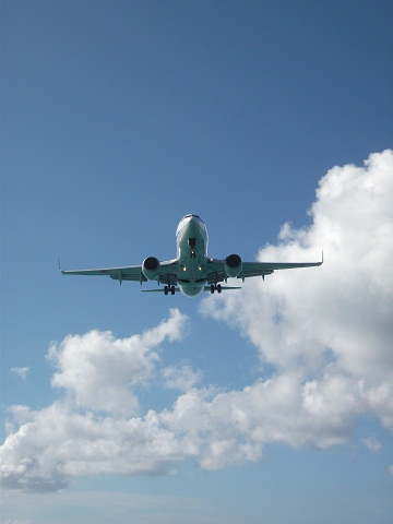 飛行機