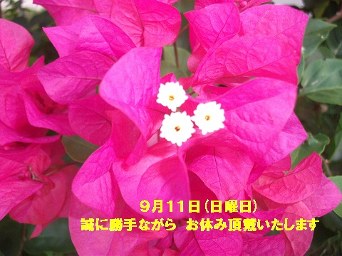 1日夏休み♪