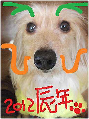 謹賀新年
