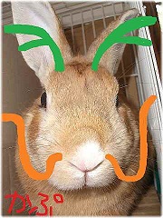 謹賀新年