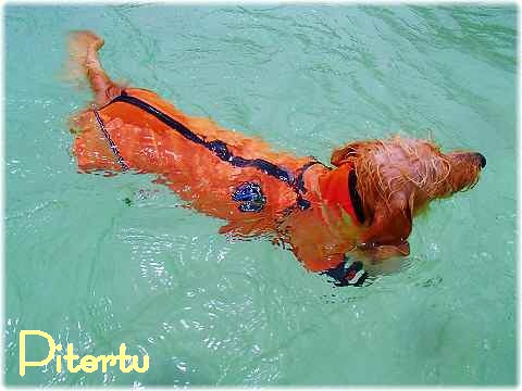 風ちゃん海へいく~♪ ラッシュガード
