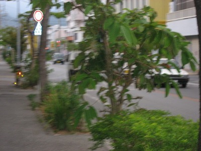 名護2