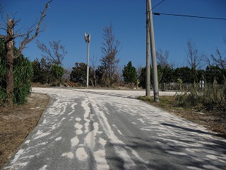多良間画像集 10