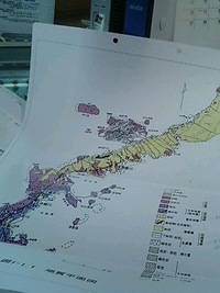 地質平面図