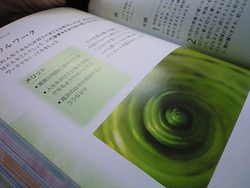 「瞑想バイブル」