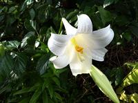 魂からのメッセージ 2012/05/04 07:00:00
