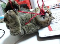 食べたら眠くなる話し 2012/05/18 18:14:07