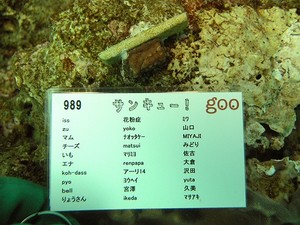 gooサンゴプロジェクト