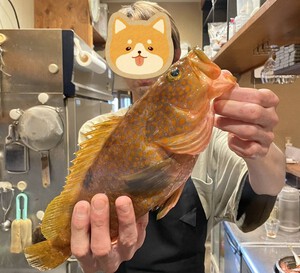 貸し船 ヒラメ & 根魚 貸し船 ヒラメ & 根魚