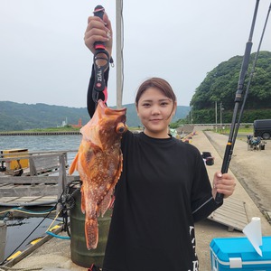 貸し船 ヒラメ & 根魚 貸し船 ヒラメ & 根魚