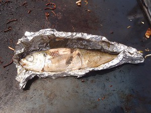 笑う門には鯛来る 笑う門には鯛来る