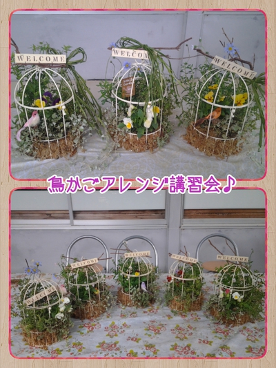 ☆ 鳥かごアレンジ講習会!終了しました ☆ ☆ 鳥かごアレンジ講習会!終了しました ☆