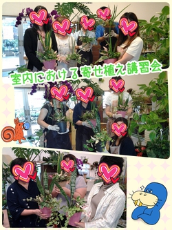 ありがとうSLAE!みなさま、ご来店ありがとうございました! ありがとうSLAE!みなさま、ご来店ありがとうございました!