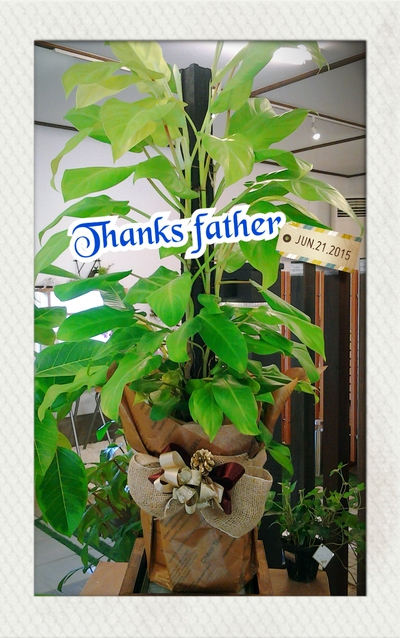 今週末はFathers Day!! 今週末はFathers Day!!