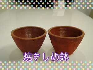 ☆9月の人気商品は・・・?!☆ ☆9月の人気商品は・・・?!☆