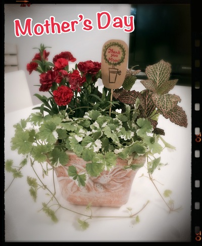 ☆5/10はMother’s Day(母の日ギフト)☆ ☆5/10はMother’s Day(母の日ギフト)☆