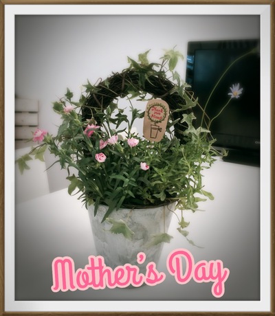 ☆5/10はMother’s Day(母の日ギフト)☆ ☆5/10はMother’s Day(母の日ギフト)☆