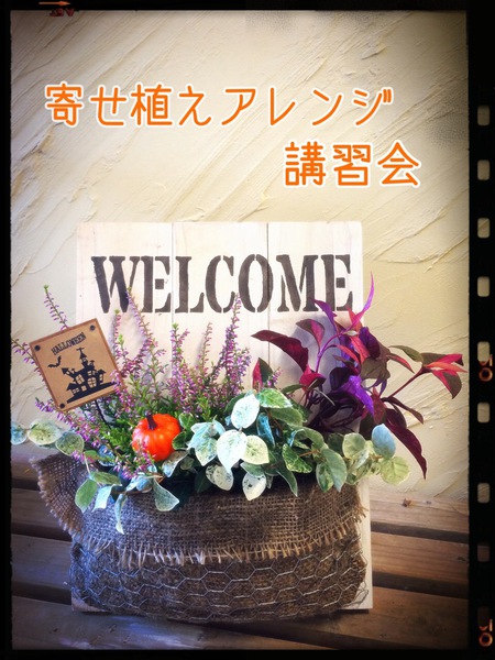 ☆10月講習会のご案内☆ ☆10月講習会のご案内☆