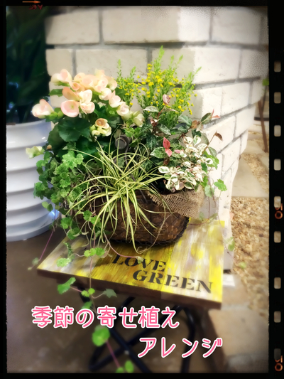☆2月講習会の日程&作品見本☆ ☆2月講習会の日程&作品見本☆