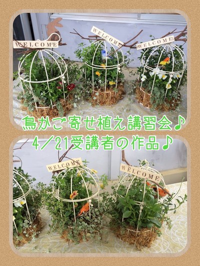 ☆ 鳥かごアレンジ講習会!終了しました ☆ ☆ 鳥かごアレンジ講習会!終了しました ☆