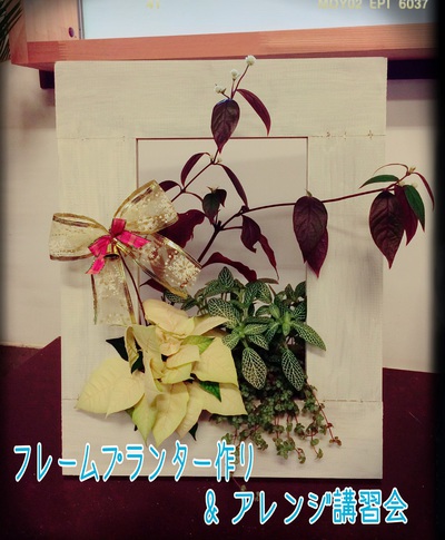 ☆ 12月度講習会案内 ☆ ☆ 12月度講習会案内 ☆