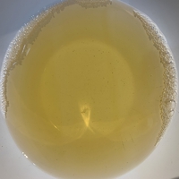 採った貝を食す 採った貝を食す