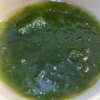 採った貝を食す 採った貝を食す