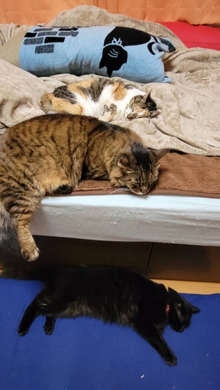 みぃちゃんへ みぃちゃんへ