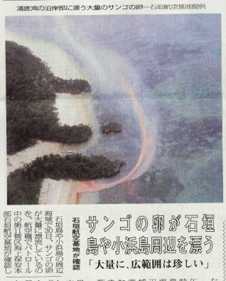 産卵!スゴイ!・・