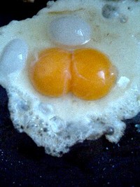 ニコタマ