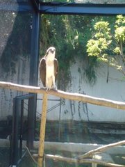 ZOO