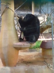 ZOO
