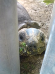 ZOO