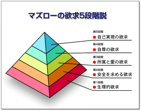 今日のバイボー(7)