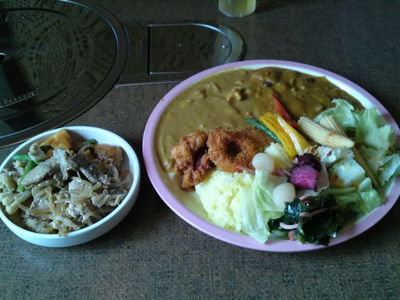 ryus ginowan
