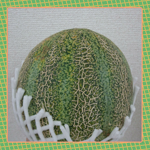 メロン??スイカ??どっちだ~!?
