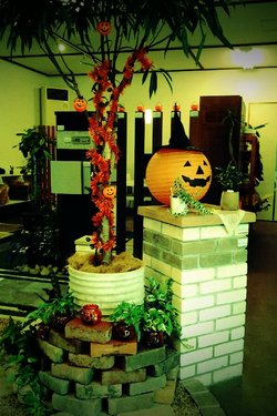 ☆ハロウィンディスプレイ☆