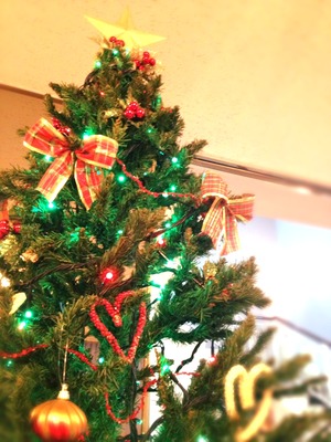 クリスマスツリー設置完了