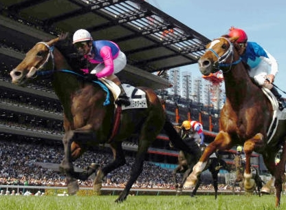 JRA(競馬)「CLUB KEIBA」の蒼井優ポスターが素敵