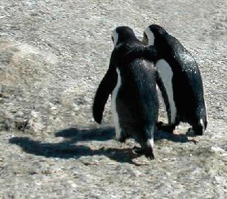 なんか「グッ」とくる動物の画像／動物も、生きてるんだな。