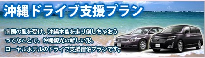 沖縄ドライブ支援プラン