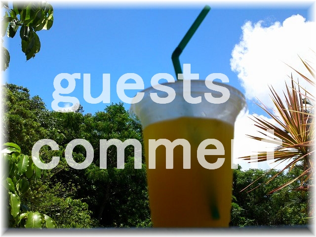 guests comment guests comment