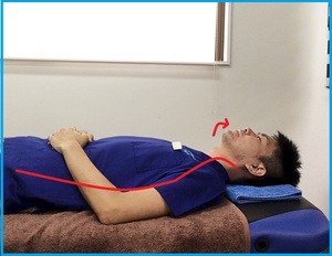 肩こり・首こり・ストレートネックの理想的な枕の高さ。寝ながら肩こり・首こり・頭痛予防