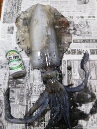 ☆久々に…