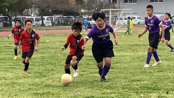 ジャンボリーカップ 2023 ジャンボリーカップ 2023